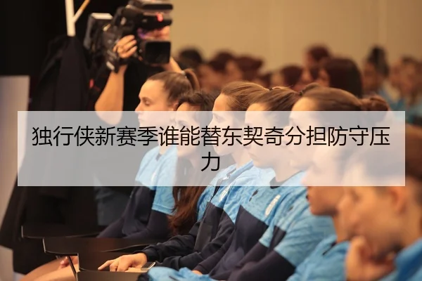 独行侠新赛季谁能替东契奇分担防守压力